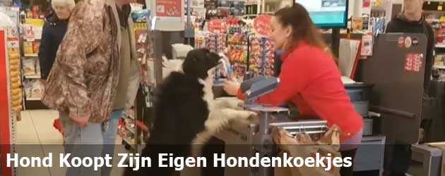 PrutsFM.nl Slim beestje, weet precies wat hij wil en heeft nog sjans bij de kassa in de supermarkt ook.