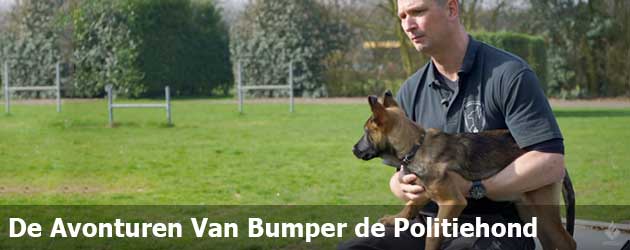 Alle avonturen van bumper de Rotterdamse politiehond keurig op een rijtje