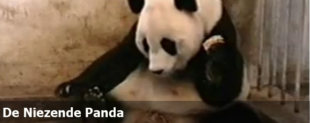 De Niezende Panda