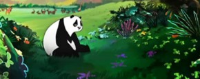 Waarom Zijn Panda's Zwart Wit?