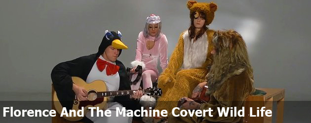 Florence And The Machine Covert Wild Life