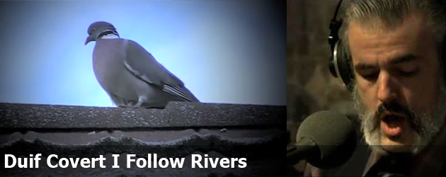 Duif Covert I Follow Rivers