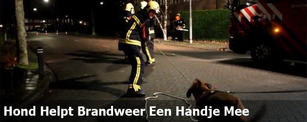 Hond Helpt Brandweer Een Handje Mee