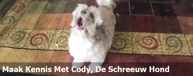 Maak Kennis Met Cody, De Schreeuw Hond  
