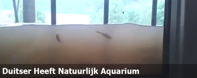 Duitser Heeft Natuurlijk Aquarium