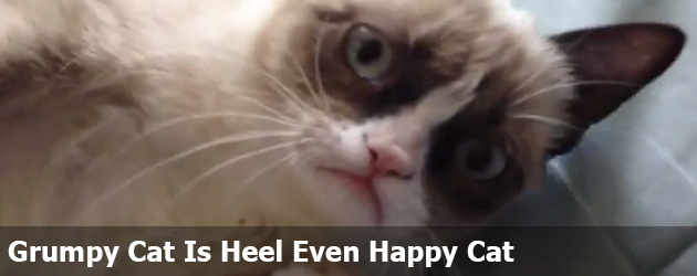 Grumpy Cat Is Heel Even Happy Cat  