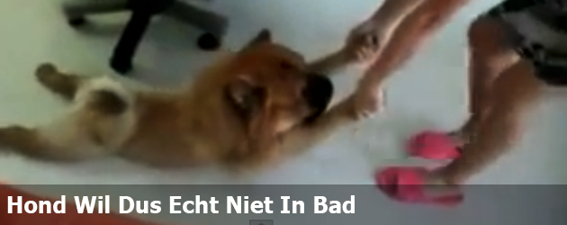 Hond Wil Dus Echt Niet In Bad