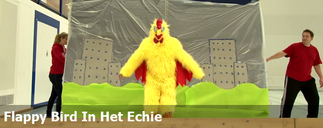 Flappy Bird In Het Echie
