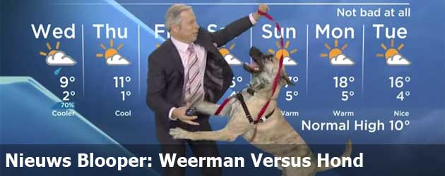 Nieuws Blooper: Weerman Versus Hond