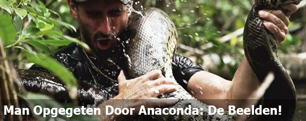 Man Opgegeten Door Anaconda: De Beelden!