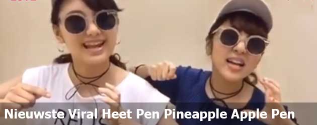 En De Nieuwste Viral Heet Pen Pineapple Apple Pen