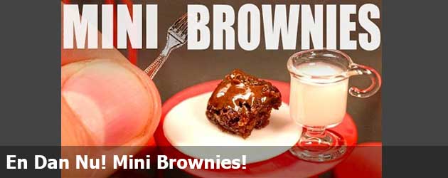 En Dan Nu! Mini Brownies!