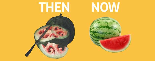 Hoe fruit en groente er uitzag voordat de mens ze manipuleerde