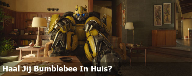 Haal Jij Bumblebee In Huis?
